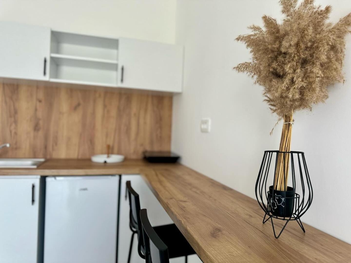 Apartmani Asovic Μπούντβα Εξωτερικό φωτογραφία